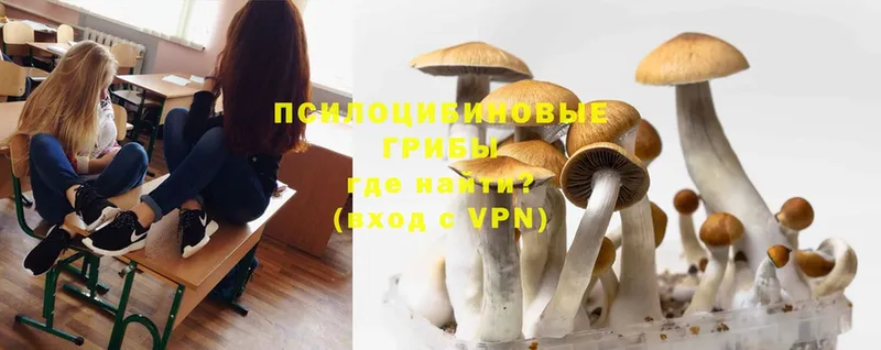 Псилоцибиновые грибы MAGIC MUSHROOMS Перевоз